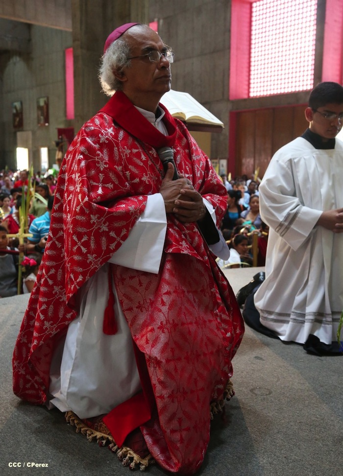 Procesión de la Burrita en Managua (Semana Santa 2013)