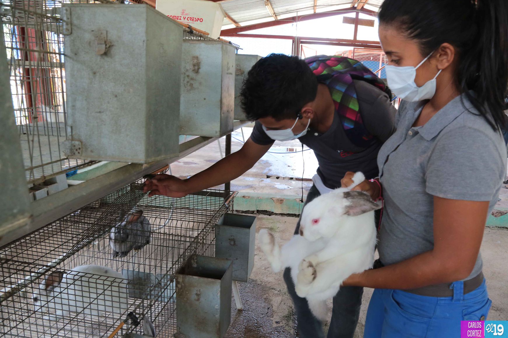 Tecnológico Agropecuario de Chinandega “Carlos Manuel Vanegas”