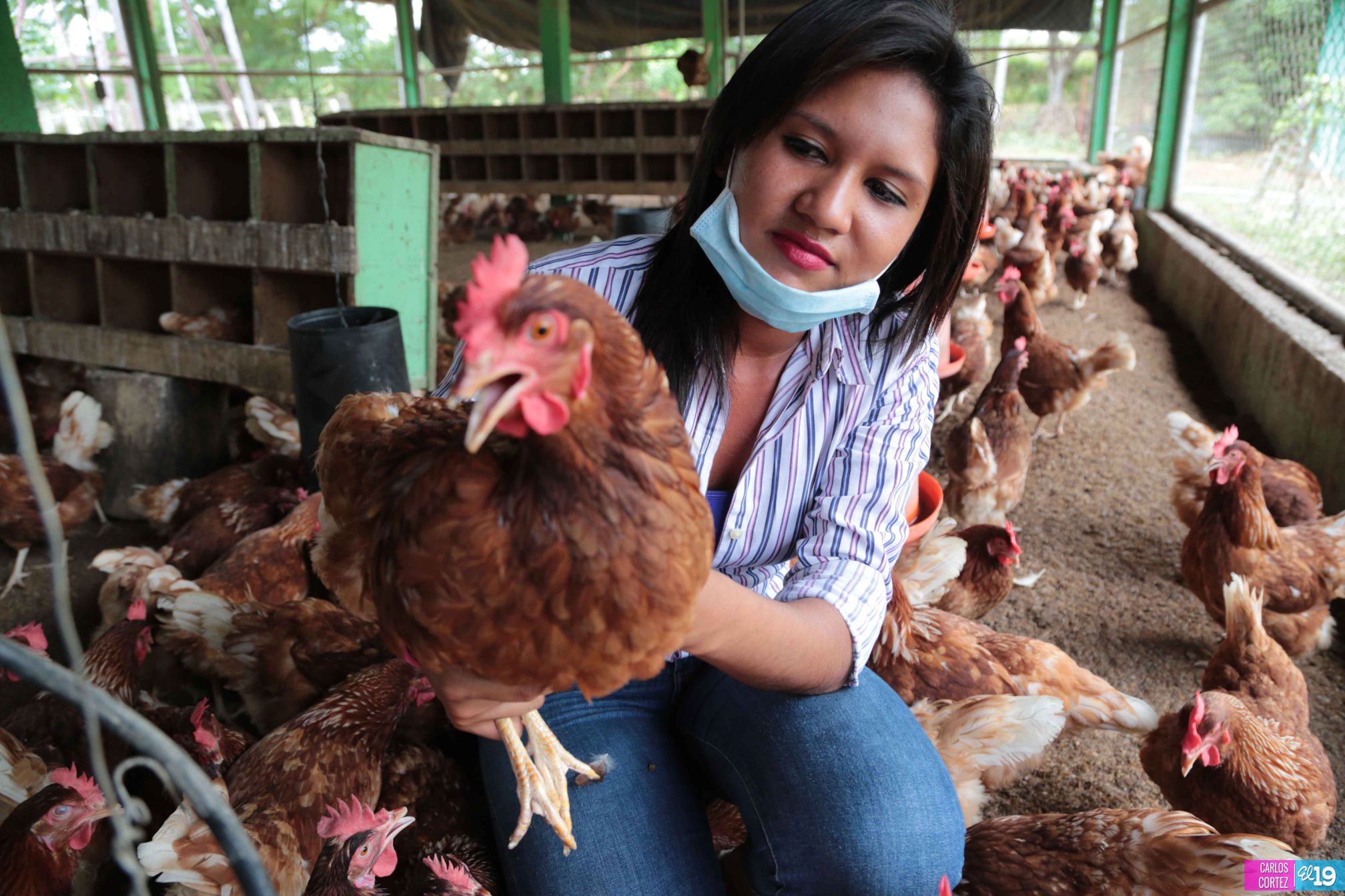 Tecnológico Agropecuario de Chinandega “Carlos Manuel Vanegas”
