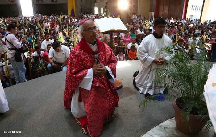 Procesión de la Burrita en Managua (Semana Santa 2013)