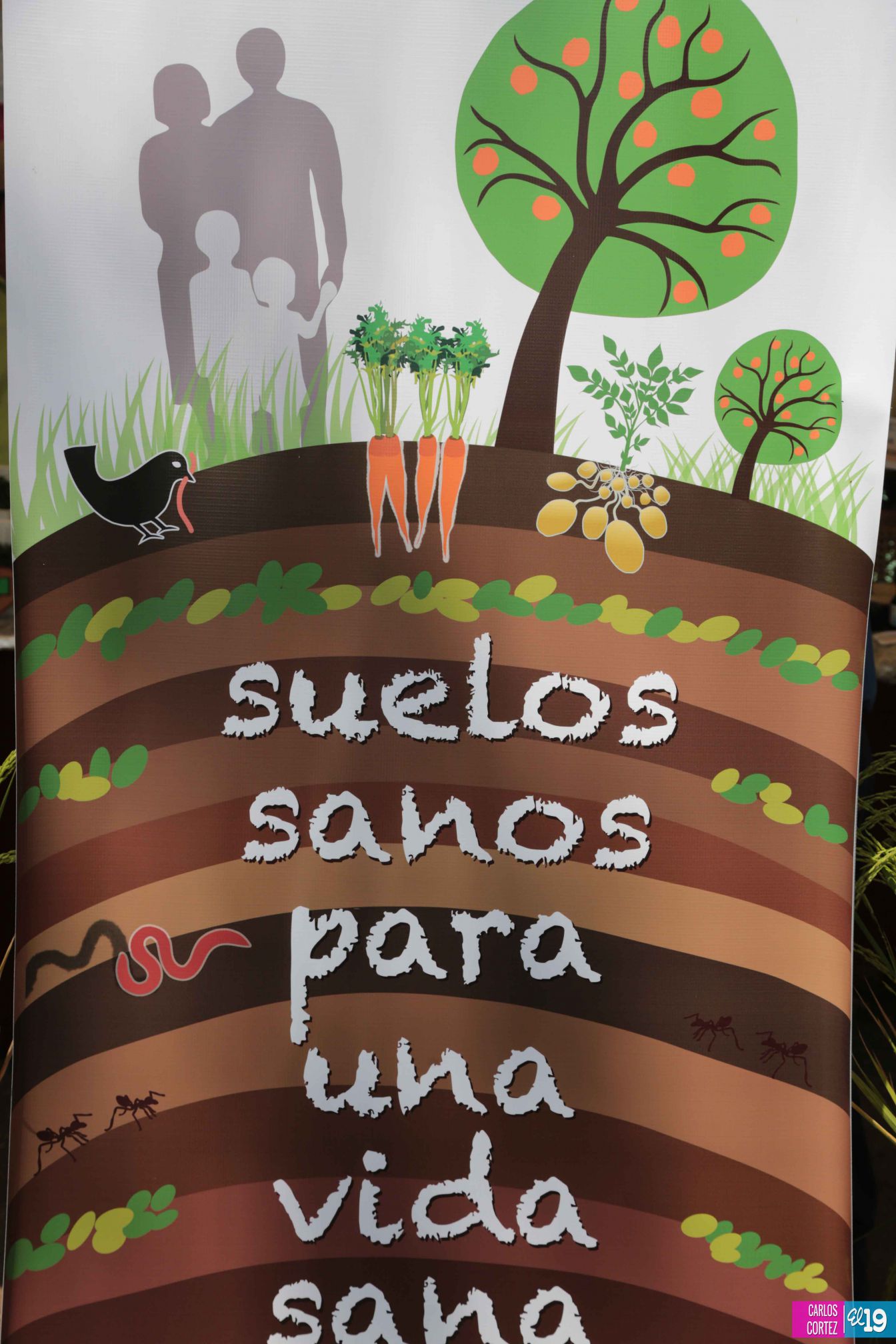 Inta y Fao desarrollan taller de capacidades para garantizar producción de semillas criollas y acriolladas