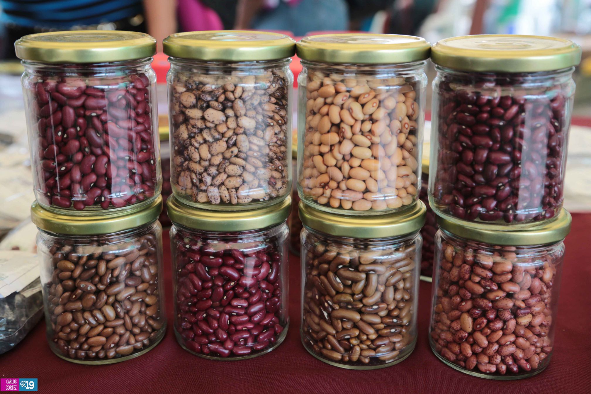 Inta y Fao desarrollan taller de capacidades para garantizar producción de semillas criollas y acriolladas