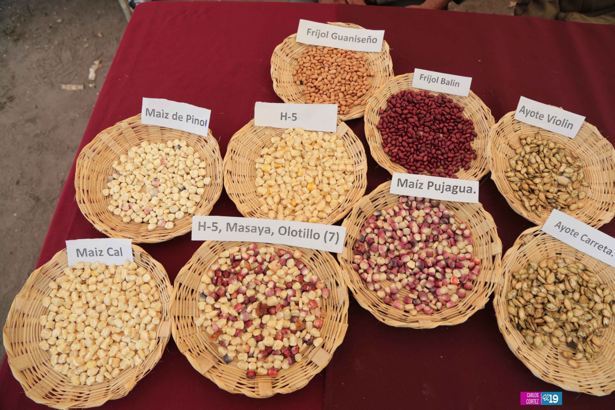 Inta y Fao desarrollan taller de capacidades para garantizar producción de semillas criollas y acriolladas