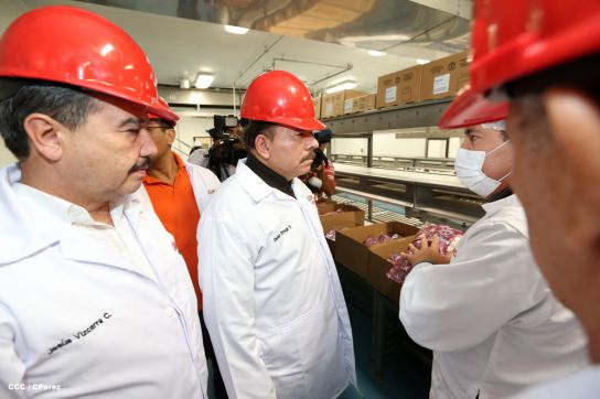 Presidente Daniel inaugura unidad ganadera integral de Sukarne