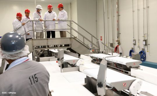 Presidente Daniel inaugura unidad ganadera integral de Sukarne