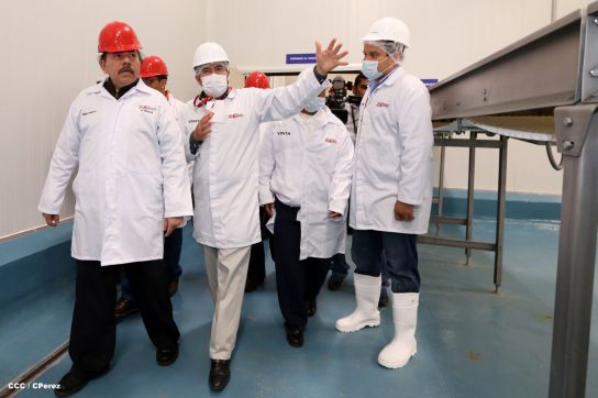 Presidente Daniel inaugura unidad ganadera integral de Sukarne