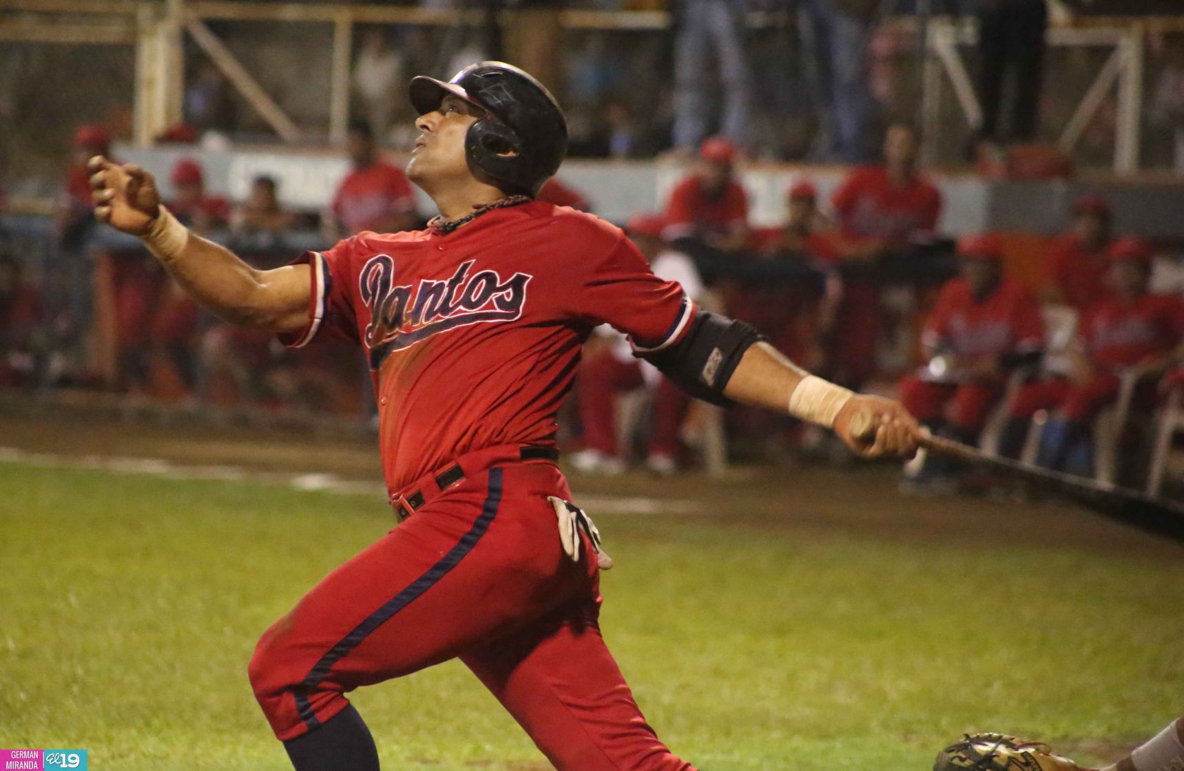 Leones eliminan a los Dantos y pasan a la final del Pomares