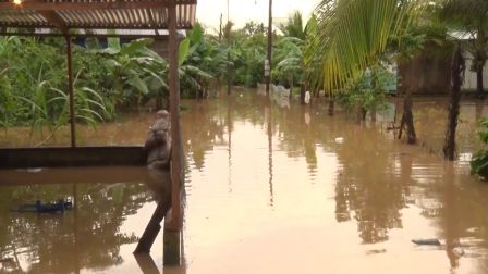 Atienden a familias afectadas por crecida del Río Escondido en El Rama