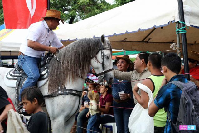 Desfile hípico en honor a Santo Domingo