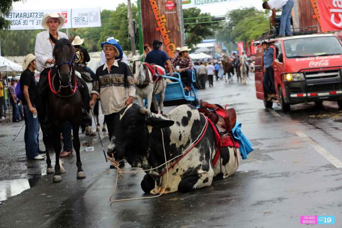 Desfile hípico en honor a Santo Domingo