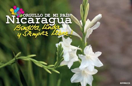Orgullo de mi País... Nicaragua, Bendita, Linda y Siempre Libre (Material Promocional)