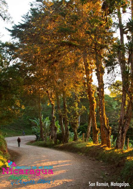 Orgullo de mi País...! Nuevo Material Promocional