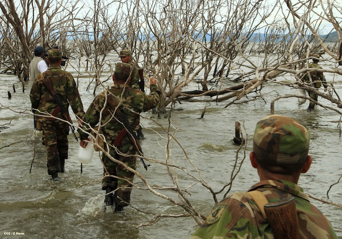 Prosigue búsqueda de militares fallecidos en accidente aéreo