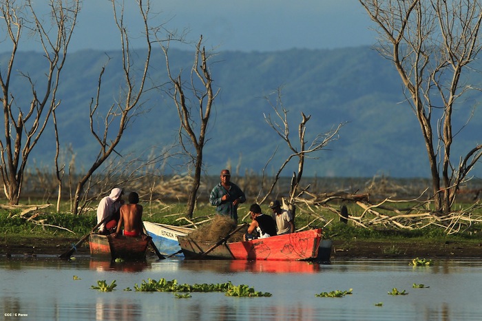 Prosigue búsqueda de militares fallecidos en accidente aéreo