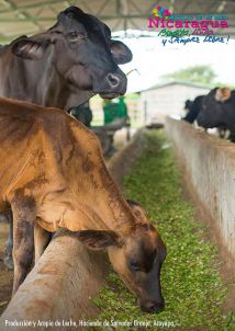 Orgullo de mi País: Chontales