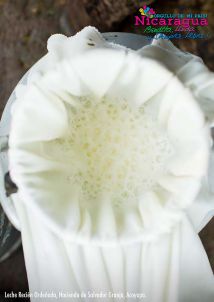 Orgullo de mi País: Chontales