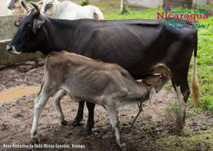 Orgullo de mi País: Chontales