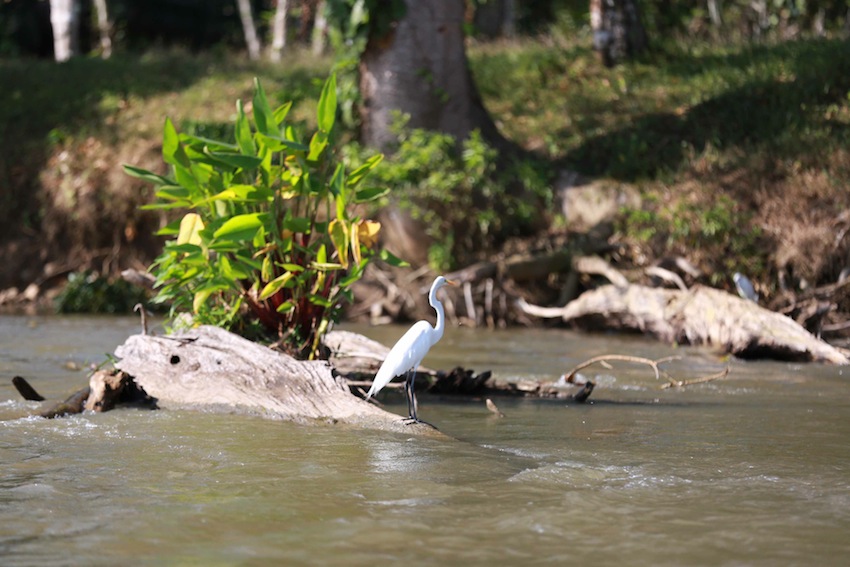 Río San Juan, destino virgen de Nicaragua