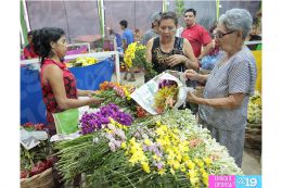 Productores y comerciantes presentan sus ofertas en Feria de las Flores