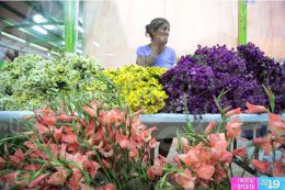 Productores y comerciantes presentan sus ofertas en Feria de las Flores