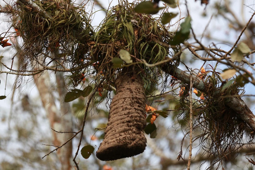 Río San Juan, destino virgen de Nicaragua