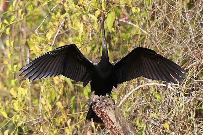 Río San Juan, destino virgen de Nicaragua