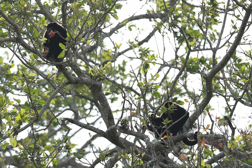 Río San Juan, destino virgen de Nicaragua
