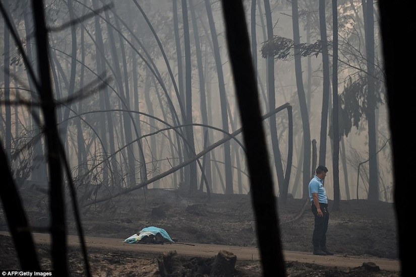 Incendio Portugal