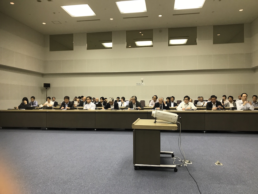 Jap&oacute;n