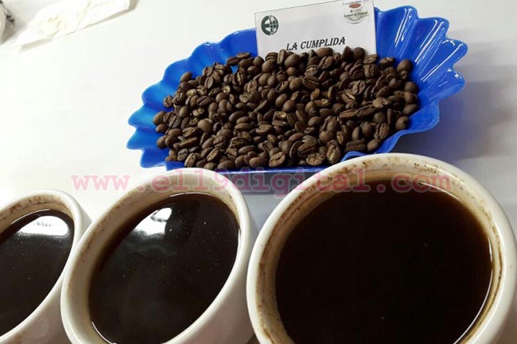 exportaciones-cafe