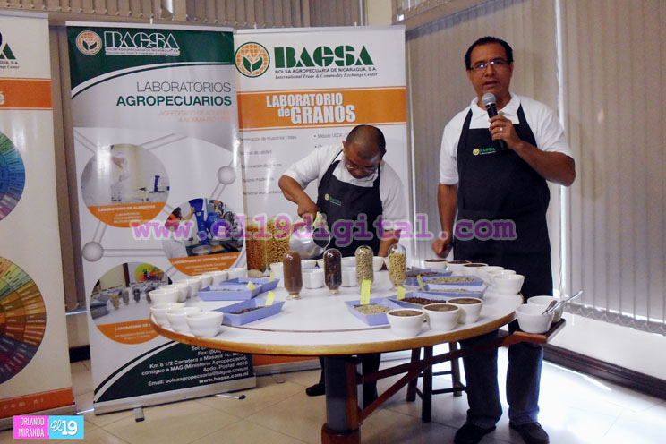 bagsa
