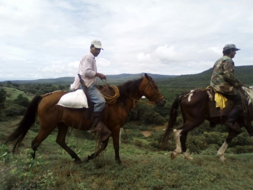 tipitapa