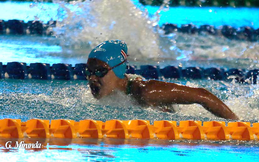 natacion