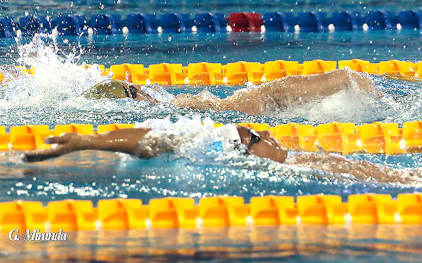 natacion