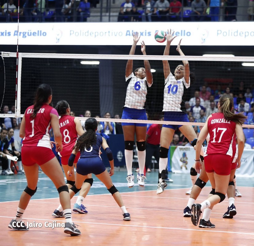 voleibol