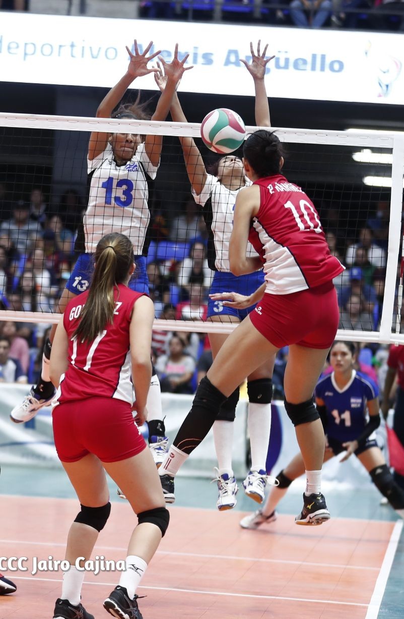 voleibol