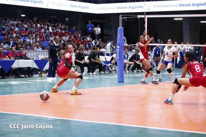 voleibol