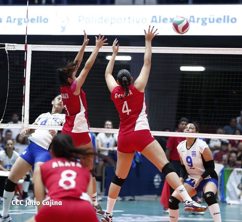 voleibol