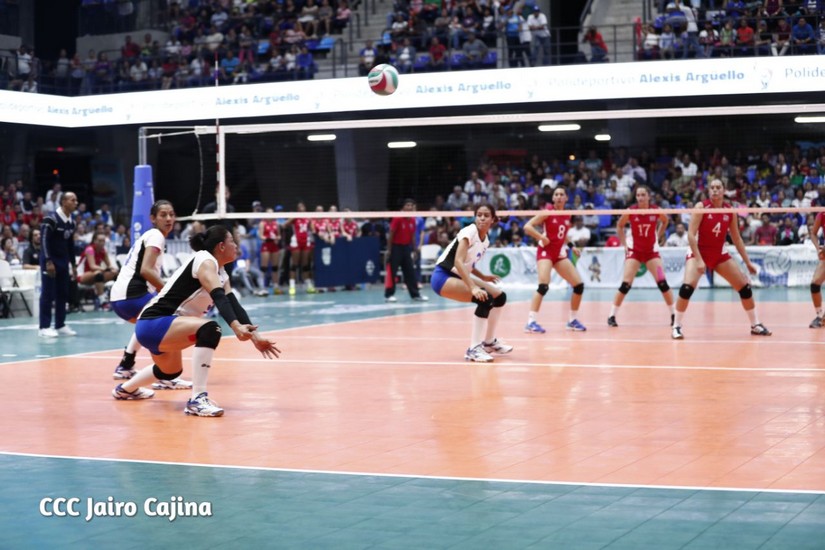 voleibol