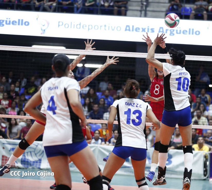 voleibol