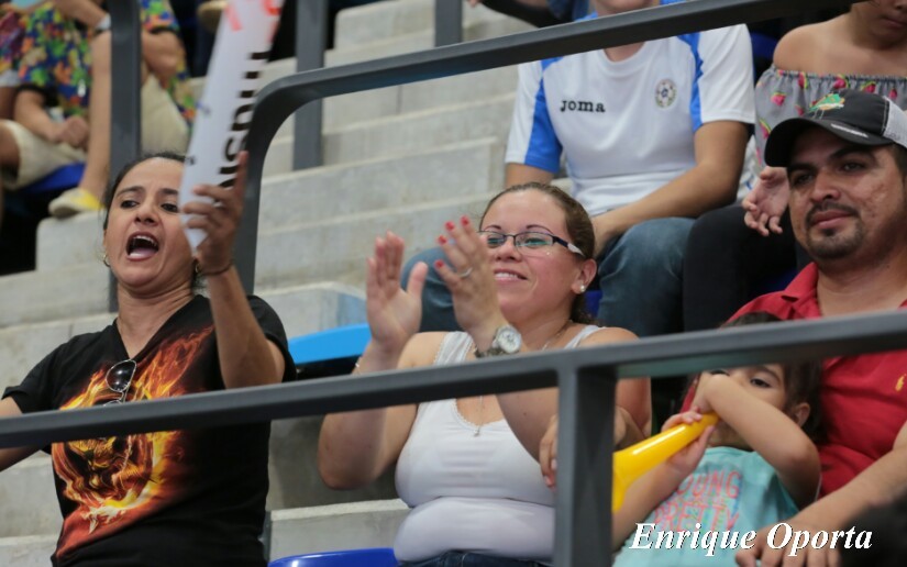 voleibol