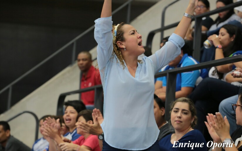 voleibol