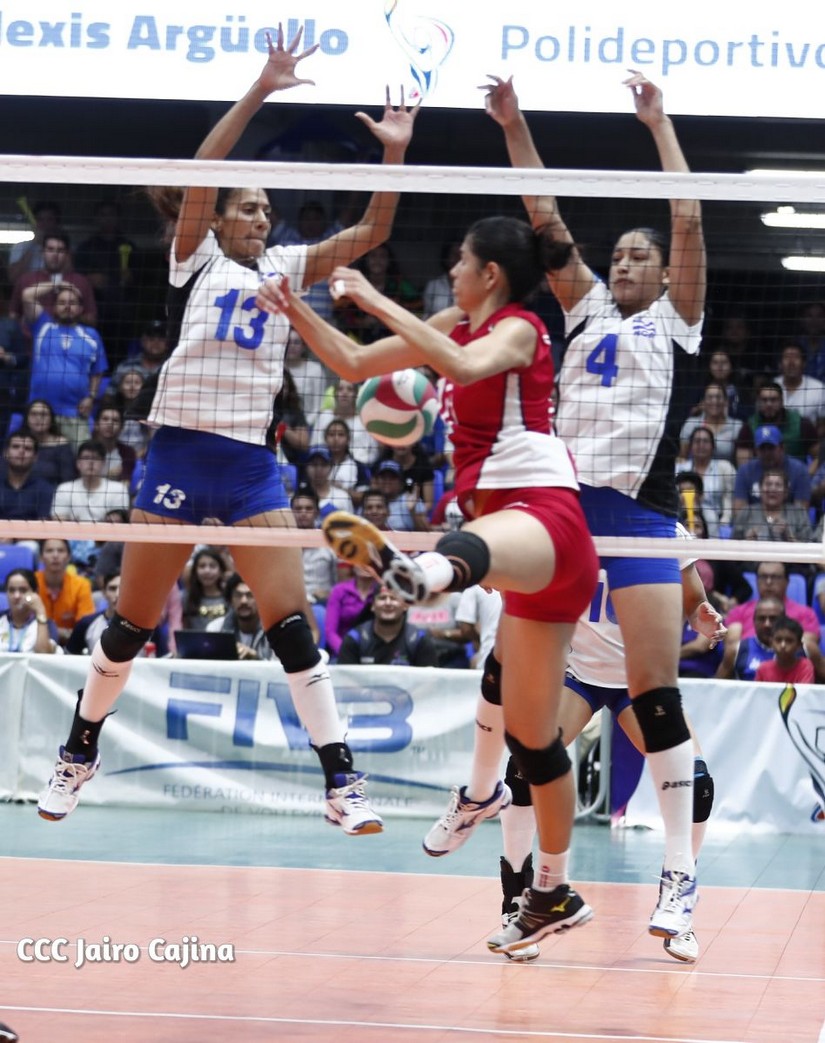 voleibol