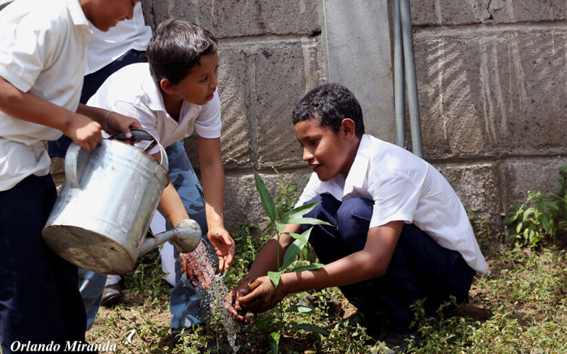 NIÑOS