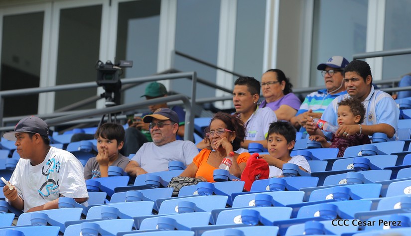 ESTADIO