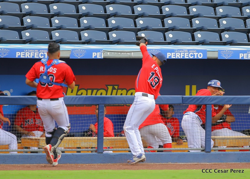 ESTADIO