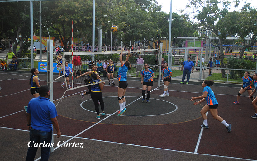 volley2