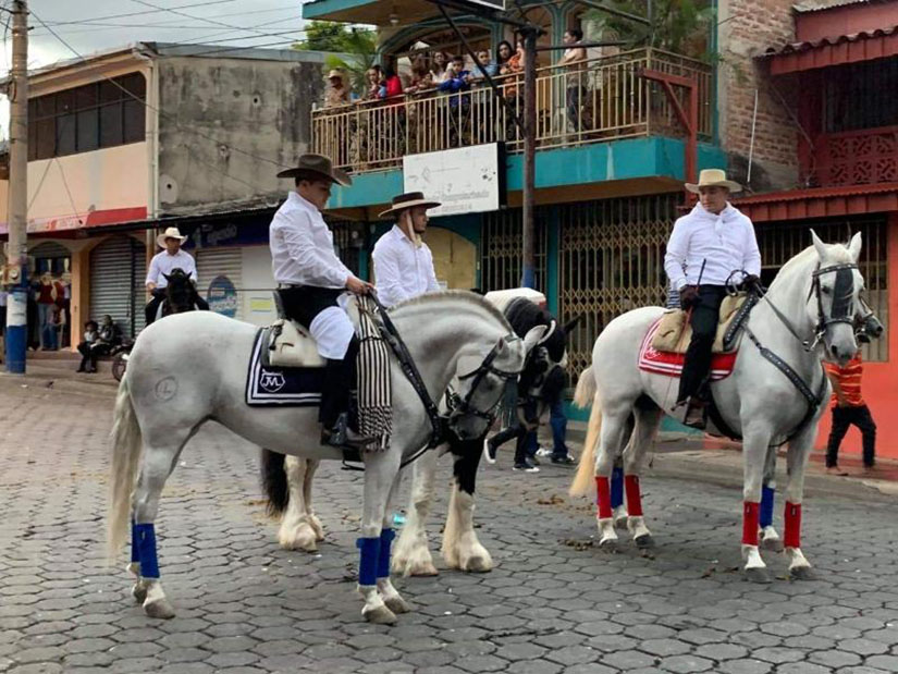 h&iacute;pica