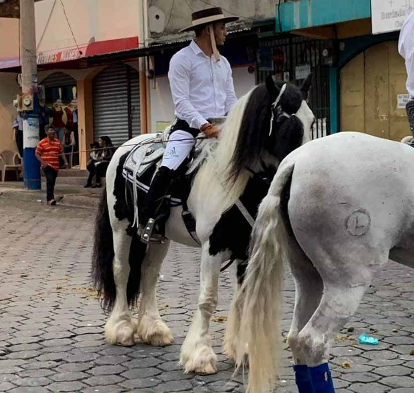 h&iacute;pica