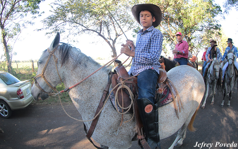 hipicos